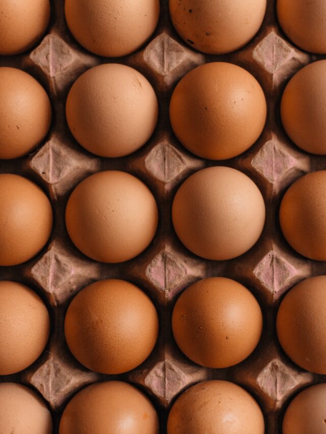 Top Egg Producing Companies In The United States Agriculture Review