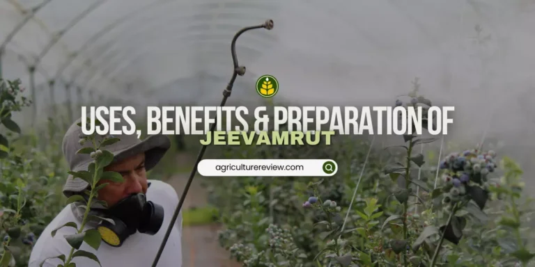 Jeevamrut: Preparation, Benefits & Process