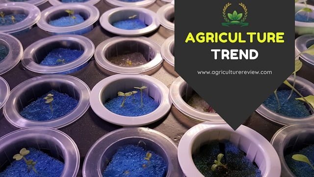 These top AGRICULTURE TREND can change the way you think!