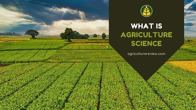 What Is Agriculture Science: Read or Miss!