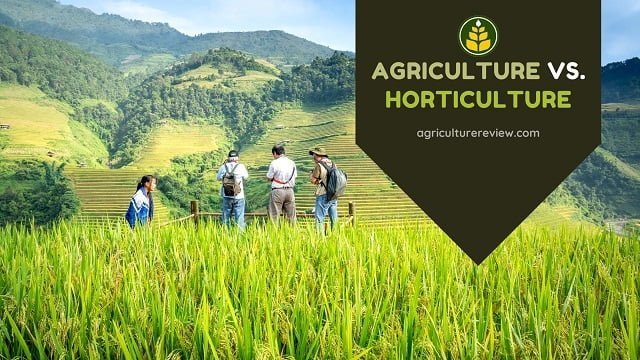 agriculture-vs-horticulture