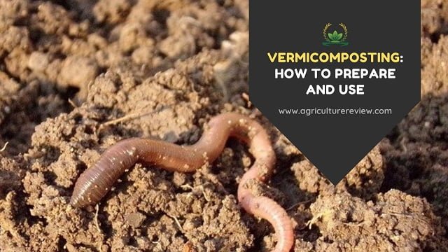 VERMICOMPOSTING : How To Prepare And Use Vermicompost