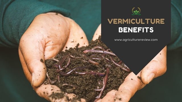 vermiculture benefits