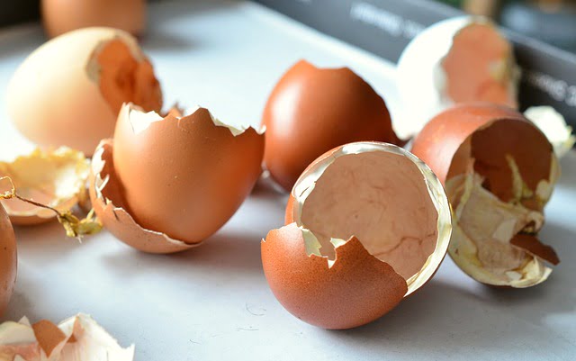 egg shells, organic calcium fertilizer