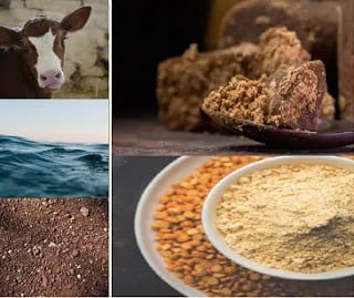 jeevamrut ingredients, cow dung, cow urine, pulses flour, jaggery, water, organic fertilizer