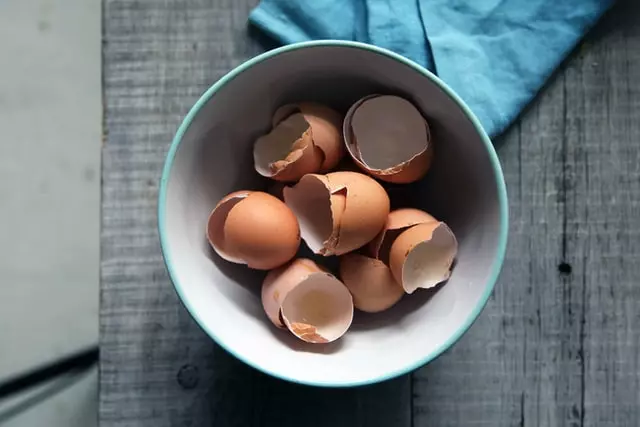 egg shells, organic source of calcium