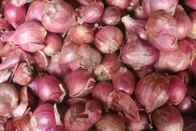 onion peel fertilizer, homemade fertilizers