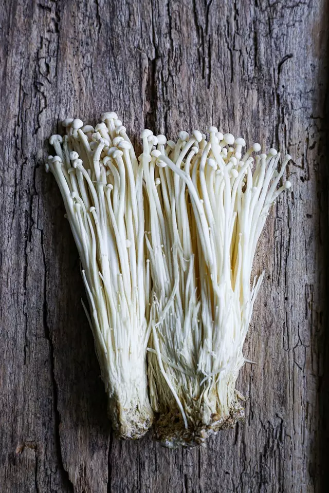 enoki mushroom, mushroom,