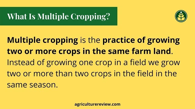 MULTIPLE CROPPING- Definition, Benefits and Selection of Crops