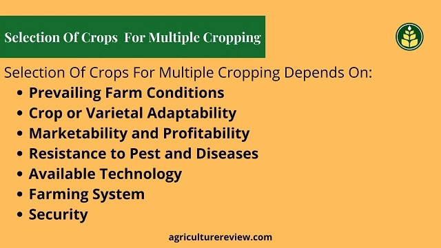 selection of crop for multiple cropping, multiple cropping, 