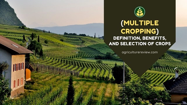 Multiple Cropping – Definition, Benefits and Selection of Crops