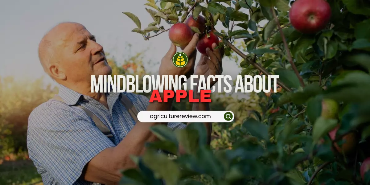 facts-about-apple