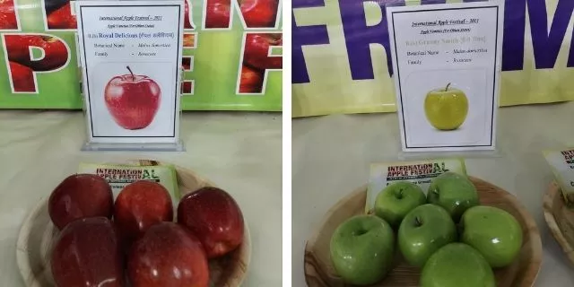 variety of apple, apple farm, uttarakhand news, dehradun