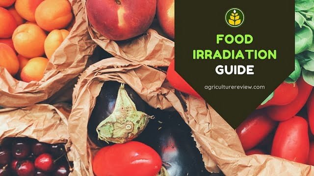 Irradiation Of Food: Get To Know Everything About Food Irradiation
