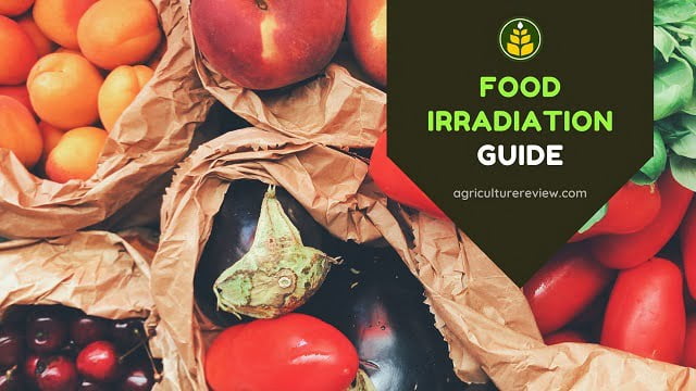 Irradiation Of Food: Get To Know Everything About Food Irradiation