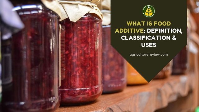 What Is Food Additives: Definition, Classification & Uses