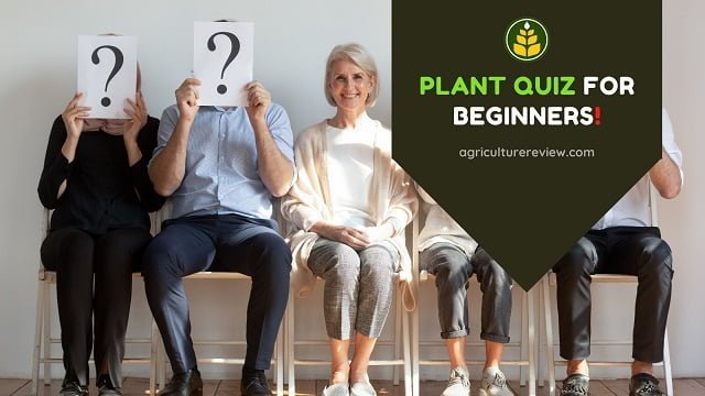 PLANT QUIZ: Know your Plant Quiz Score!