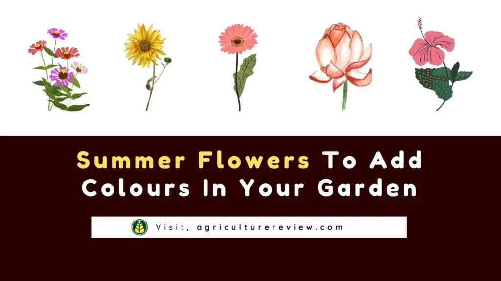 summer flowering plants, summer flowering plants for india, summer flowers,