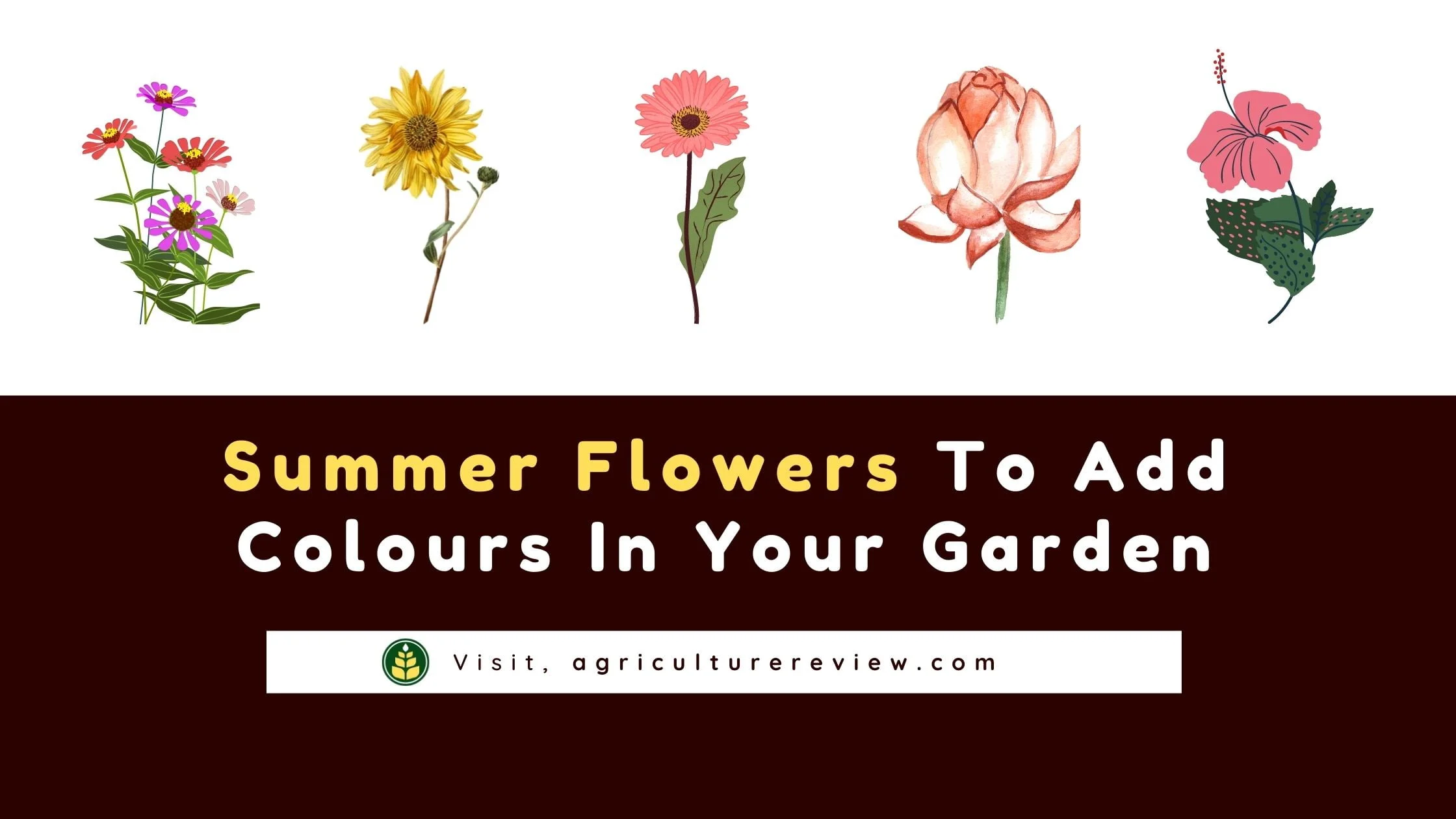 summer-flowering-plants