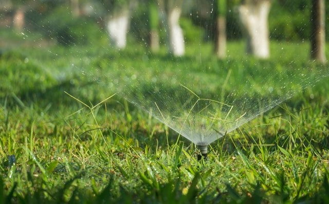 watering lawn