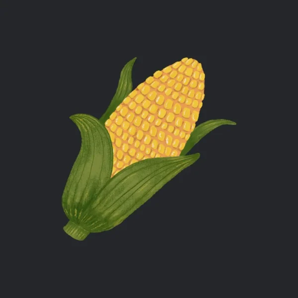 seeds-of-maize