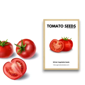 tomato-seeds-for-gardening