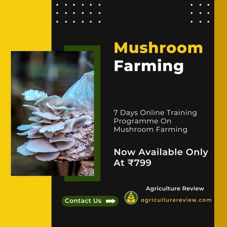 Online Mushroom Farming Training Course