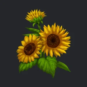 seeds-of-sunflower
