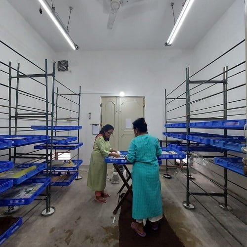 modern silkworm rearing room