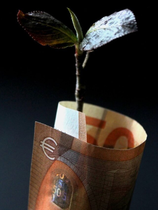 Cash Crop Definition & Importance!