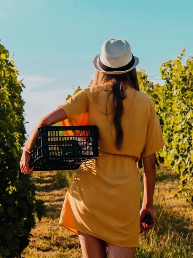 what are the occupations related to agriculture?