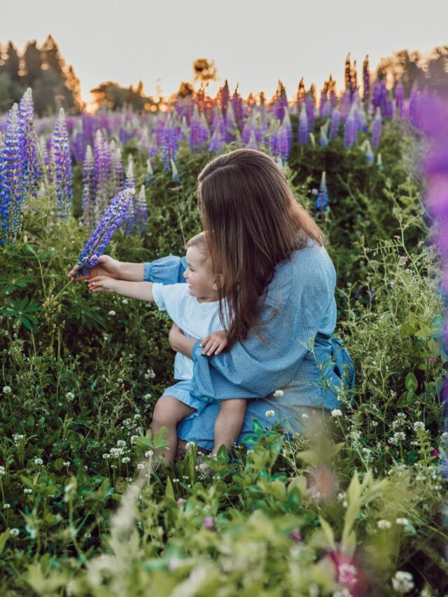 Lupine Plant: Futuristic Protein Crop!
