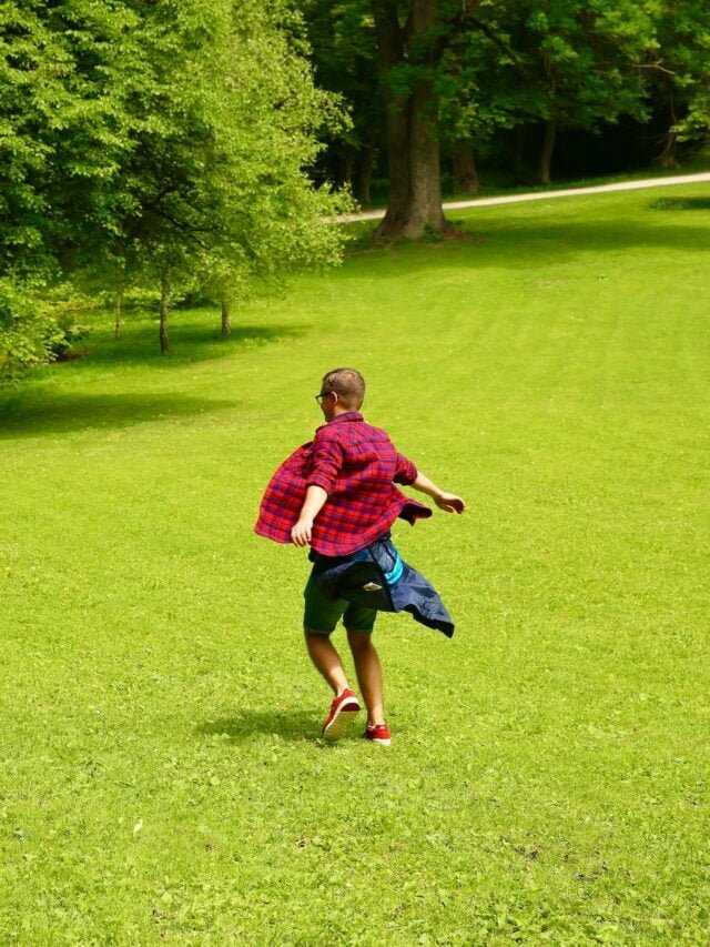 Best Organic Lawn Fertilizers!