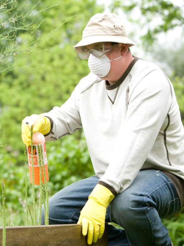 Organic Sources Of Calcium Fertilizers!