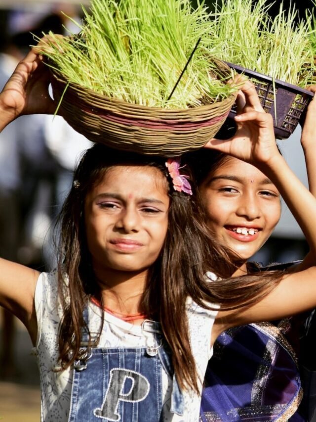 Subsistence Farming: Definition & Potential