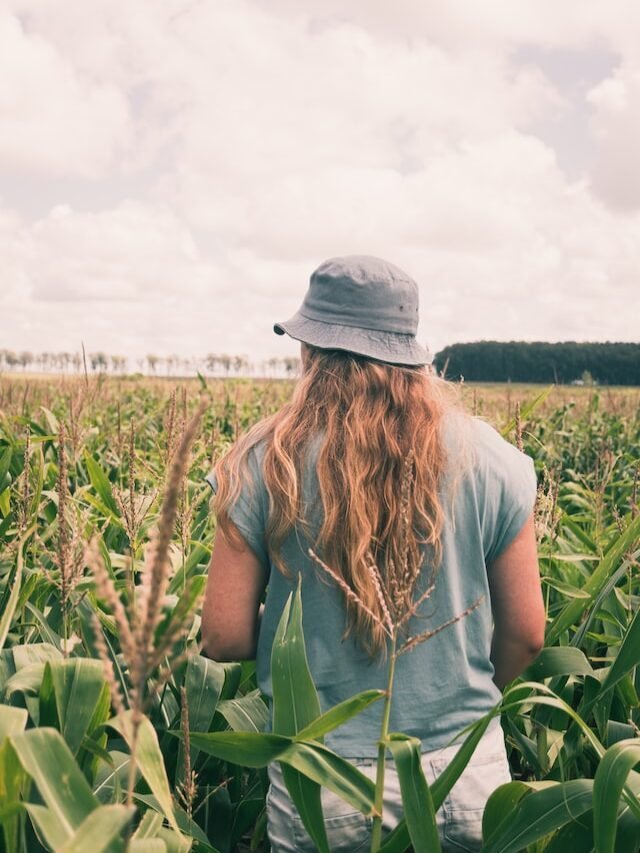 Tenant Farmer: Who Are They?