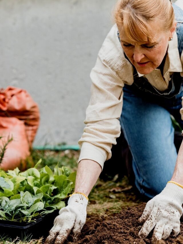What To Plant In October?