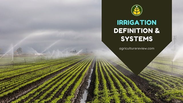 Irrigation Definition: Know Systems, Advantages & Disadvantages