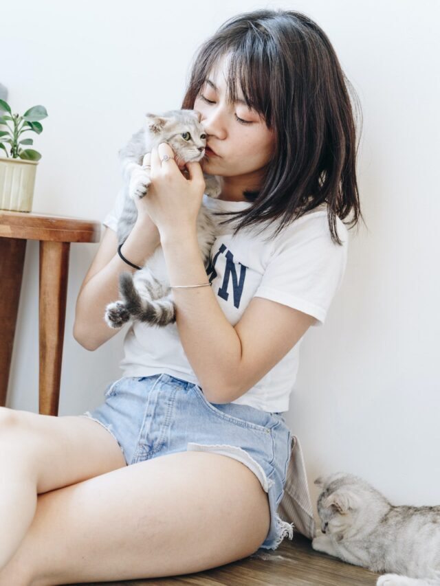 What Indoor Plants Are Safe For Cats