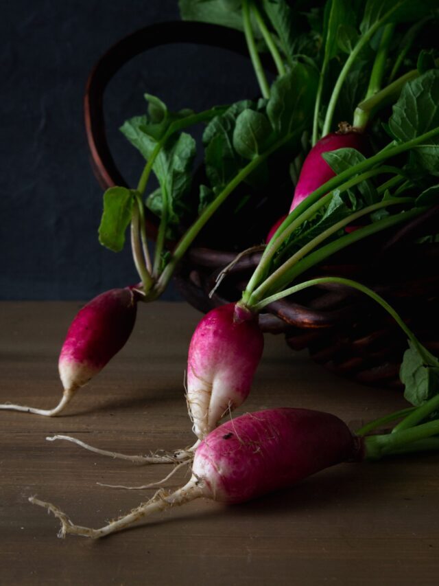 How To Grow & Harvest Radish