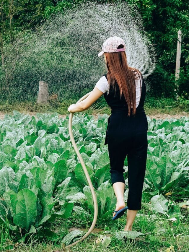 National Farmer Day Of Major Agricultural Countries