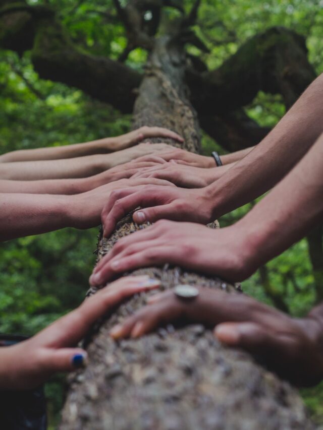 Best Tree Quotes With Images