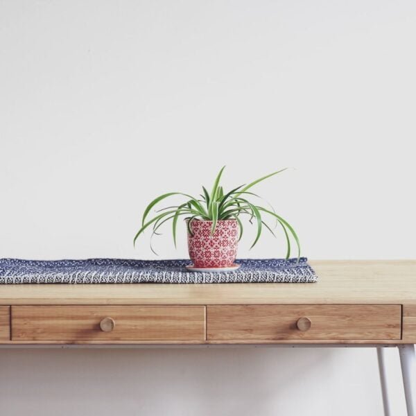 spider-plant-decorative-pot