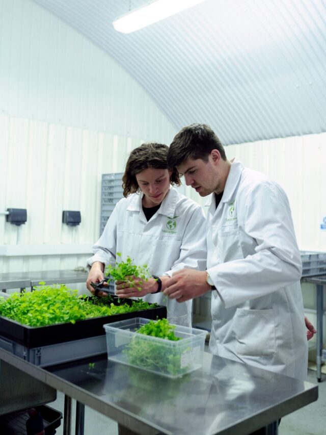 What’s Agricultural Leadership Degree?