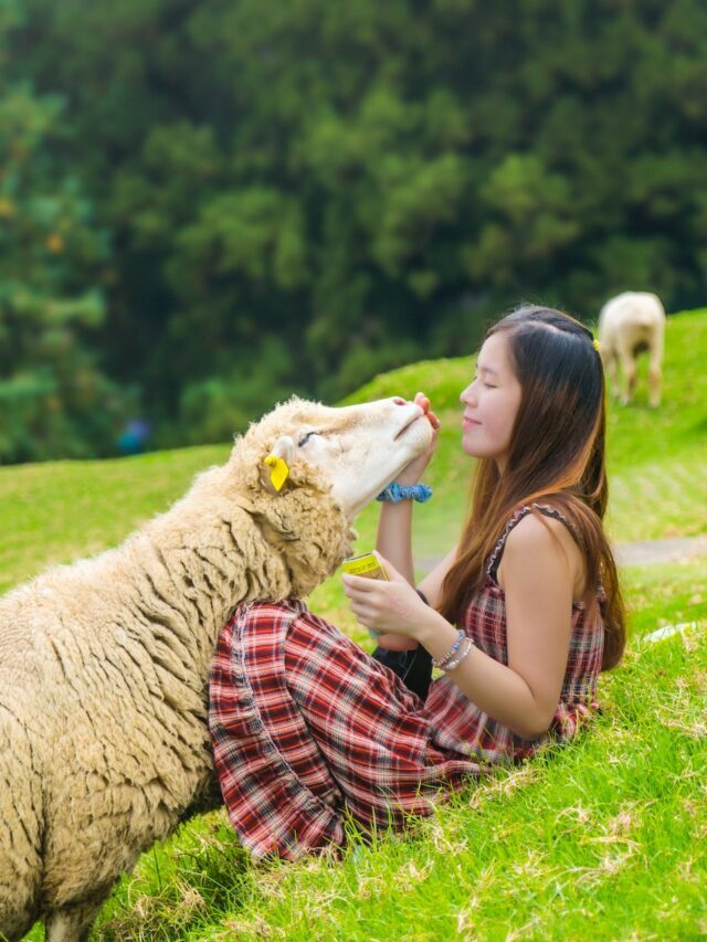 Is Biodynamic Farming Effective For Farmers!