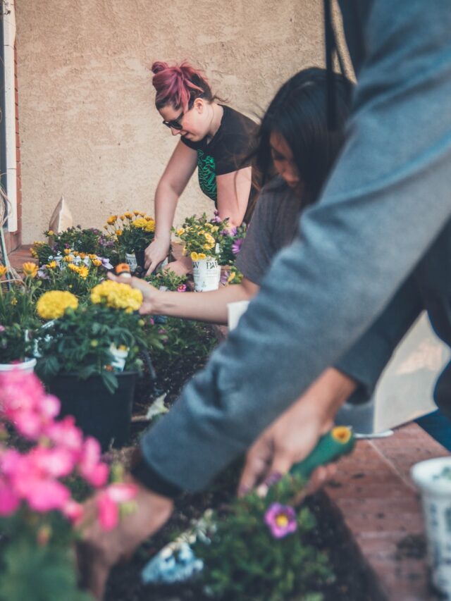 Know The Secrets Of Companion Planting!