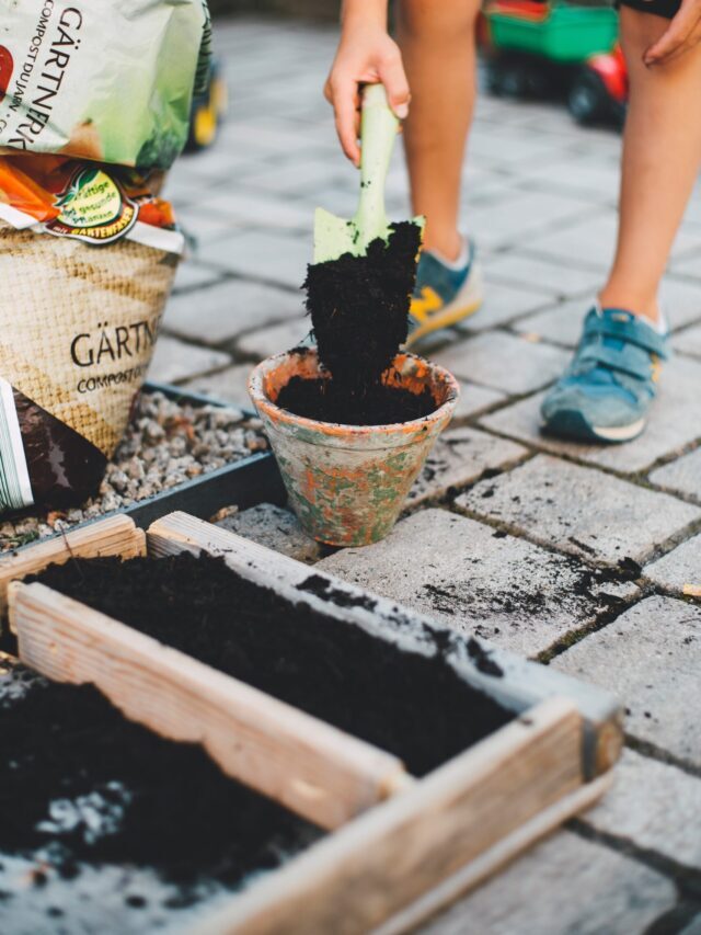Gardening Tools Names & Uses That You Must Know!