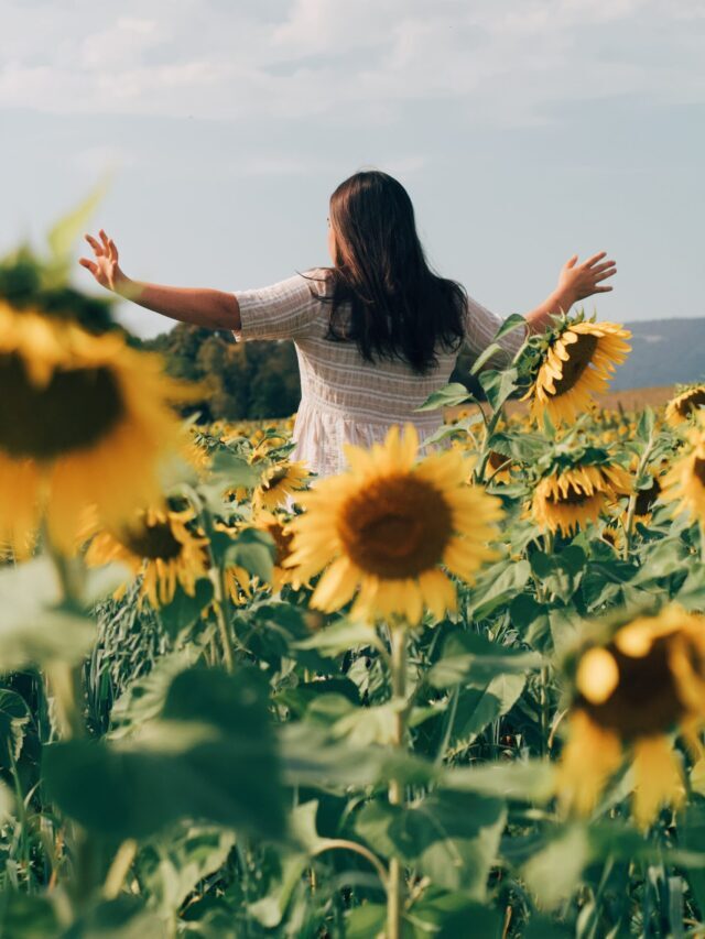 Horticulture Vs Agriculture: What’s The Difference!