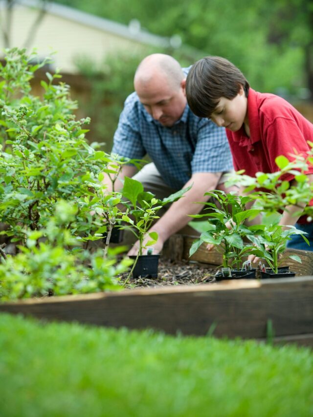 How To Start Gardening Successfully