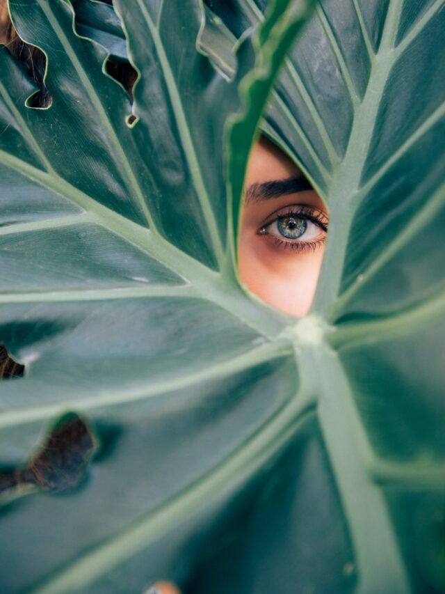 Why We Should Start Growing Plants!